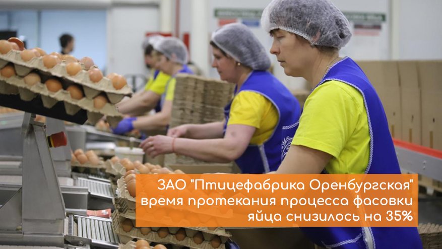 ЗАО «Птицефабрика Оренбургская» — время протекания процесса фасовки яйца снизилось на 35%